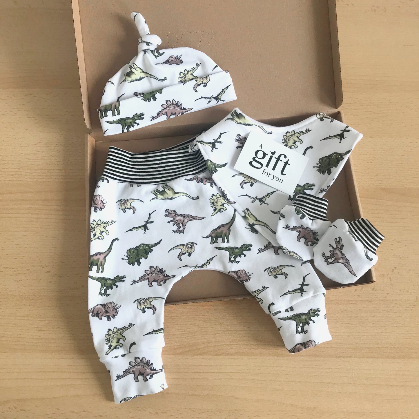 Jurassic set with mittens